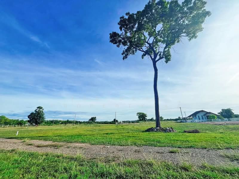 ที่ดินอู่ทอง สุพรรณบุรี, Suphan Buri, Ban Kong, U Thong, Suphan Buri, , 648 sqm, Land For Sale, by The Best Property แอ้, 500399498 - DDproperty.com