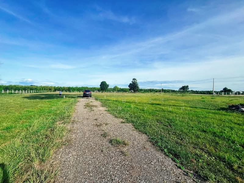 ที่ดินอู่ทอง สุพรรณบุรี, Suphan Buri, Ban Kong, U Thong, Suphan Buri, , 648 sqm, Land For Sale, by The Best Property แอ้, 500399498 - DDproperty.com