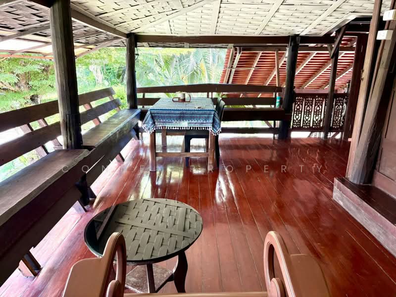 Phuket - Thaihouse, Phuket, ดอนจอมเฒ่า, Thep Krasattri, Thalang, Phuket, 4 Bedrooms, 232 sqm, Single Detached House For Rent, by Connex Property, 500399537 - DDproperty.com
