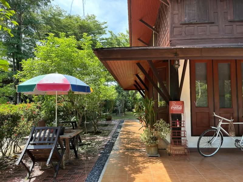 Phuket - Thaihouse, Phuket, ดอนจอมเฒ่า, Thep Krasattri, Thalang, Phuket, 4 Bedrooms, 232 sqm, Single Detached House For Rent, by Connex Property, 500399537 - DDproperty.com