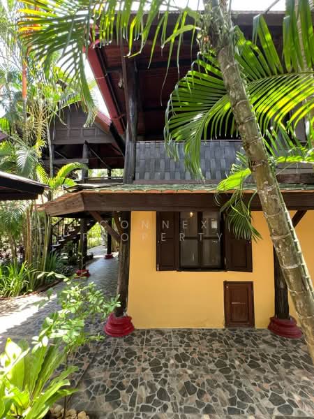 ภูเก็ต - ไทยเฮ้าส์, ภูเก็ต, ดอนจอมเฒ่า, เทพกระษัตรี, ถลาง, ภูเก็ต, 194 ตร.ม., บ้านเดี่ยว ให้เช่า, โดย Connex Property, 500399548 - DDproperty.com