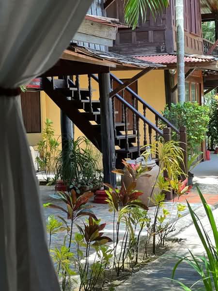 Phuket - Thaihouse, Phuket, ดอนจอมเฒ่า, Thep Krasattri, Thalang, Phuket, 2 Bedrooms, 194 sqm, Single Detached House For Rent, by Connex Property, 500399548 - DDproperty.com