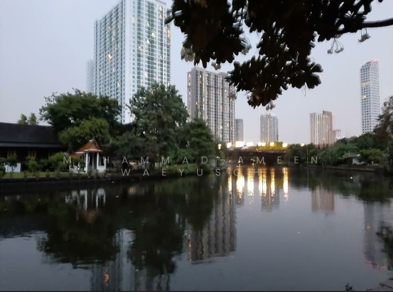 Hasu Haus, Bangkok, Sukhumvit 77 Road, Phra Kanong Nua, Watthana, Bangkok, 1 Bedroom, 38 sqm, Condo For Rent, by Muhammad-ameen Waeyusoh, 500399579 - DDproperty.com