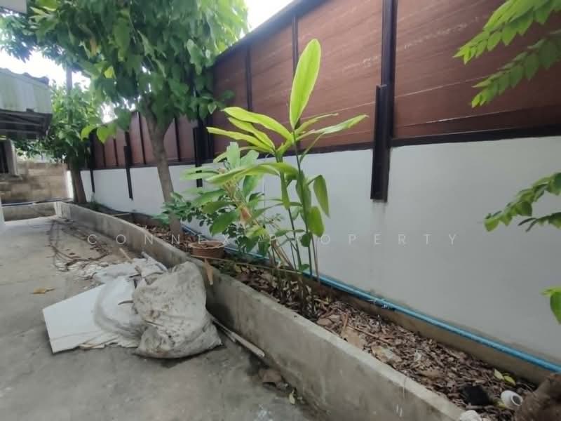 บ้านสวน อุดมสุข 48, กรุงเทพ, อุดมสุข, บางนาเหนือ, บางนา, กรุงเทพ, 120 ตร.ม., บ้านเดี่ยว ให้เช่า, โดย Connex Property, 500399601 - DDproperty.com