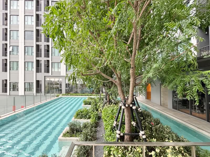 Aspire Sukhumvit-Rama 4 : แอสปาย สุขุมวิท-พระราม 4, กรุงเทพ, 4404 พระราม 4, พระโขนง, คลองเตย, กรุงเทพ, 31 ตร.ม., คอนโด ให้เช่า, โดย Win Chan, 500399711 - DDproperty.com