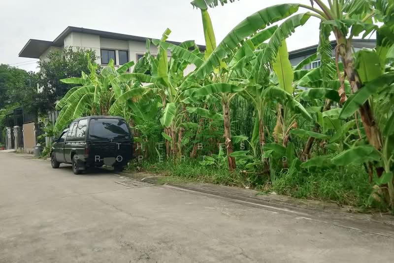 ที่ดินลาดกระบัง กรุงเทพมหานคร, กรุงเทพ, คลองสองต้นนุ่น, ลาดกระบัง, กรุงเทพ, 160 ตร.ม., ที่ดิน ขาย, โดย The Best Property แอน, 500399723 - DDproperty.com