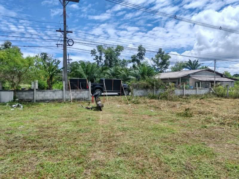 ที่ดินชะอวด นครศรีธรรมราช, นครศรีธรรมราช, ชะอวด, นครศรีธรรมราช, 2,890 ตร.ม., ที่ดิน ขาย, โดย The Best Property โอ๋, 500399738 - DDproperty.com