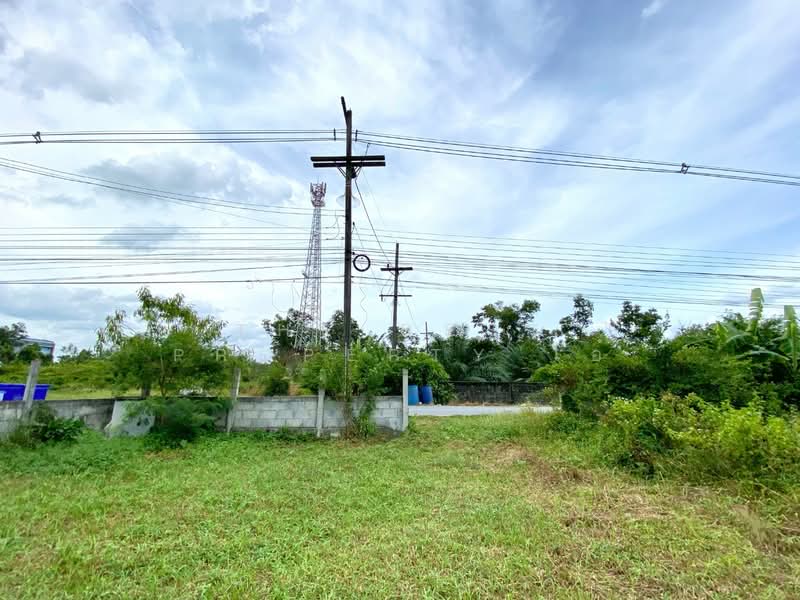 ที่ดินชะอวด นครศรีธรรมราช, Nakhon Si Thammarat, Cha-uat, Nakhon Si Thammarat, , 2,890 sqm, Land For Sale, by The Best Property โอ๋, 500399738 - DDproperty.com