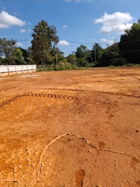 ที่ดินดอยฮาง เชียงราย, Chiang Rai, Doi Ang, Muang Chiang Rai, Chiang Rai, , 1,200 sqm, Land For Sale, by The Best Property ไนล์, 500399748 - DDproperty.com