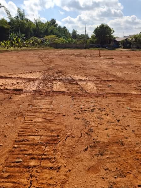 ที่ดินดอยฮาง เชียงราย, Chiang Rai, Doi Ang, Muang Chiang Rai, Chiang Rai, , 1,200 sqm, Land For Sale, by The Best Property ไนล์, 500399748 - DDproperty.com
