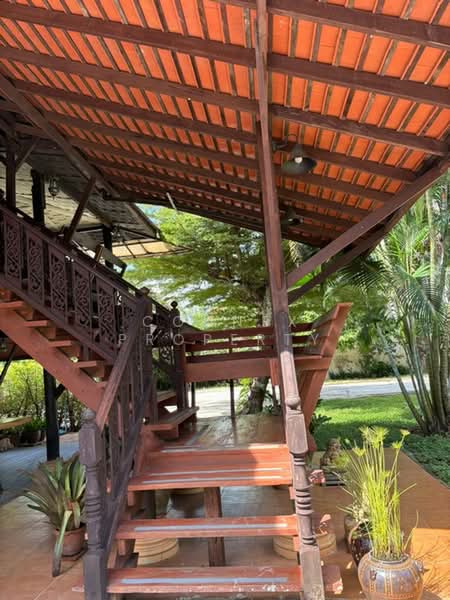 Phuket - Thaihouse, Phuket, ดอนจอมเฒ่า, Thep Krasattri, Thalang, Phuket, 4 Bedrooms, 232 sqm, Single Detached House For Sale, by Connex Property, 500399765 - DDproperty.com