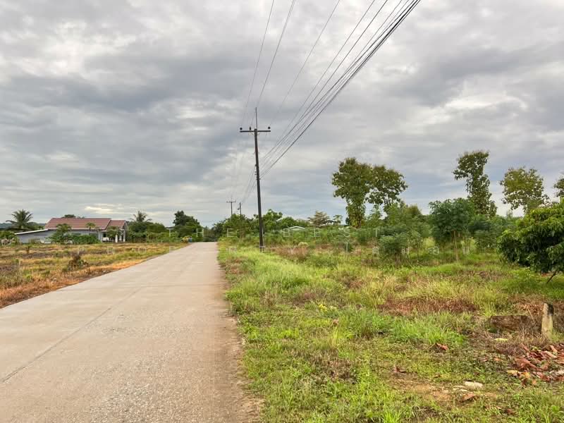 ที่ดินสอยดาว จันทบุรี, Chanthaburi, Pa Tong, Soydow, Chanthaburi, , 14,368 sqm, Land For Sale, by The Best Property ไดม่อน, 500399769 - DDproperty.com
