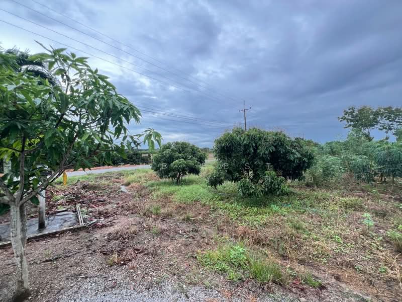 ที่ดินสอยดาว จันทบุรี, Chanthaburi, Pa Tong, Soydow, Chanthaburi, , 14,368 sqm, Land For Sale, by The Best Property ไดม่อน, 500399769 - DDproperty.com