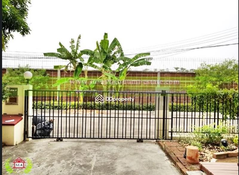H31887 หมู่บ้านปาริชาติ ลาดกระบัง, Bangkok, Lam Pla Tiew, Lat Krabang, Bangkok, 3 Bedrooms, 208 sqm, Single Detached House For Rent, by Thanitcha Kangkasuwanno, 500399772 - DDproperty.com
