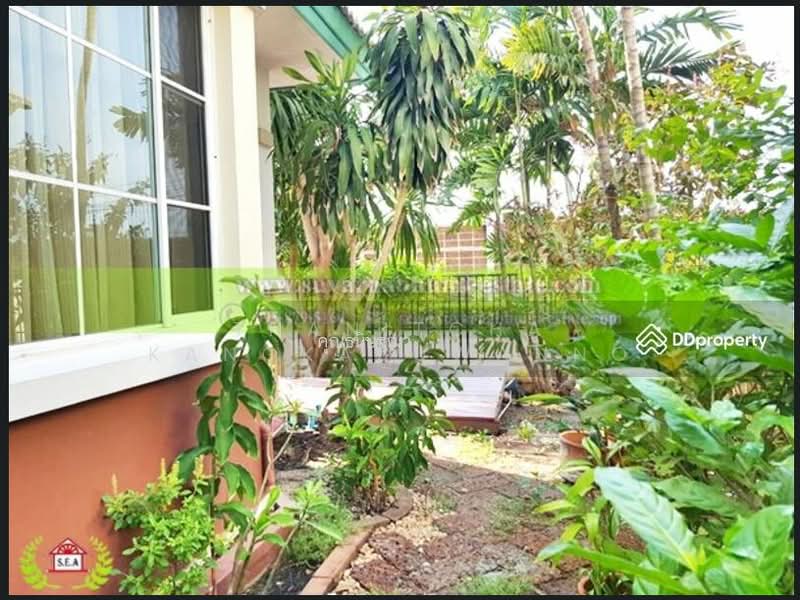 H31887 หมู่บ้านปาริชาติ ลาดกระบัง, Bangkok, Lam Pla Tiew, Lat Krabang, Bangkok, 3 Bedrooms, 208 sqm, Single Detached House For Rent, by Thanitcha Kangkasuwanno, 500399772 - DDproperty.com