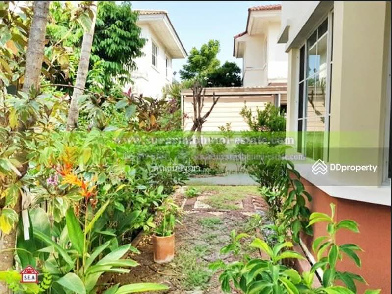 H31887 หมู่บ้านปาริชาติ ลาดกระบัง, Bangkok, Lam Pla Tiew, Lat Krabang, Bangkok, 3 Bedrooms, 208 sqm, Single Detached House For Rent, by Thanitcha Kangkasuwanno, 500399772 - DDproperty.com