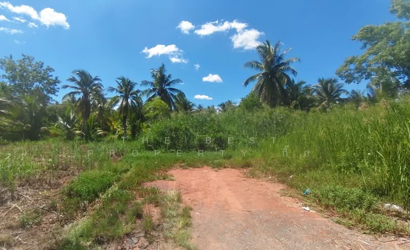 ที่ดินอัมพวา สมุทรสงคราม, Samut Songkhram, Suanluang, Amphawa, Samut Songkhram, , 644 sqm, Land For Sale, by The Best Property กิ๊ก, 500399824 - DDproperty.com