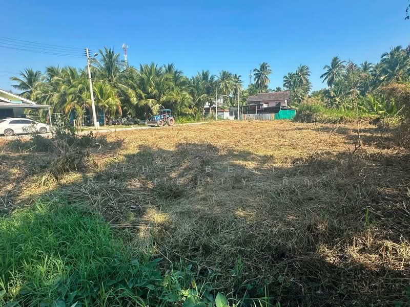 ที่ดินอัมพวา สมุทรสงคราม, Samut Songkhram, Suanluang, Amphawa, Samut Songkhram, , 644 sqm, Land For Sale, by The Best Property กิ๊ก, 500399824 - DDproperty.com