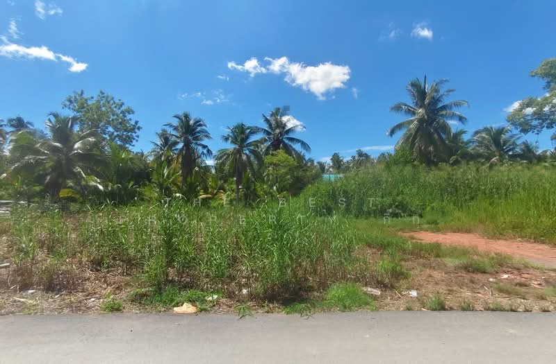 ที่ดินอัมพวา สมุทรสงคราม, Samut Songkhram, Suanluang, Amphawa, Samut Songkhram, , 644 sqm, Land For Sale, by The Best Property กิ๊ก, 500399824 - DDproperty.com