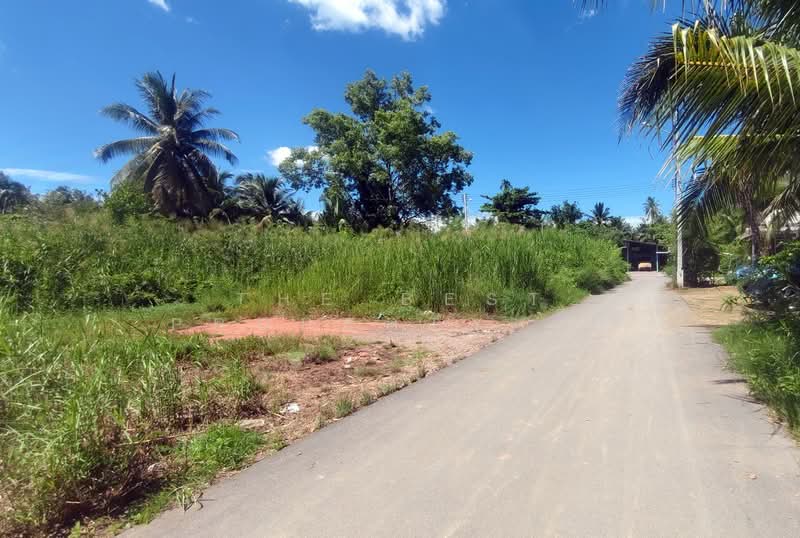 ที่ดินอัมพวา สมุทรสงคราม, Samut Songkhram, Suanluang, Amphawa, Samut Songkhram, , 644 sqm, Land For Sale, by The Best Property กิ๊ก, 500399824 - DDproperty.com