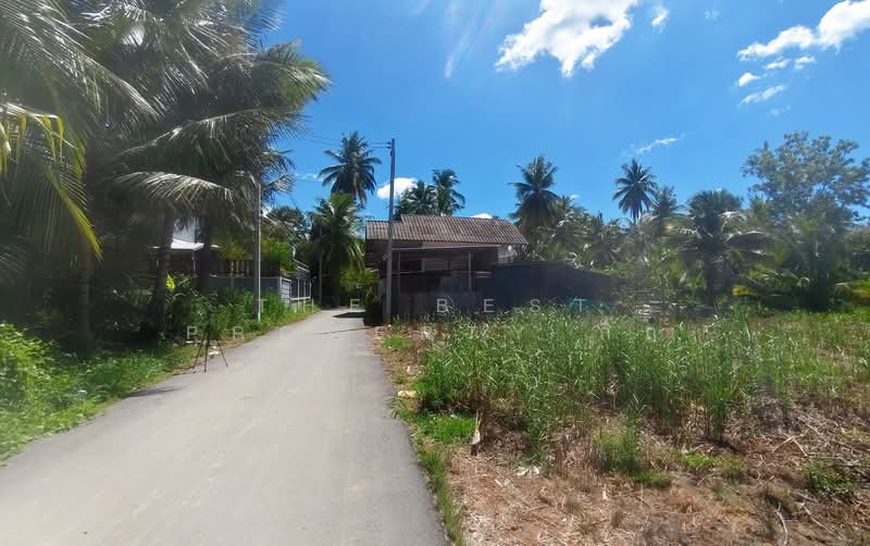 ที่ดินอัมพวา สมุทรสงคราม, Samut Songkhram, Suanluang, Amphawa, Samut Songkhram, , 644 sqm, Land For Sale, by The Best Property กิ๊ก, 500399824 - DDproperty.com