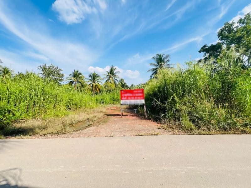 ที่ดินอัมพวา สมุทรสงคราม, Samut Songkhram, Suanluang, Amphawa, Samut Songkhram, , 644 sqm, Land For Sale, by The Best Property กิ๊ก, 500399824 - DDproperty.com