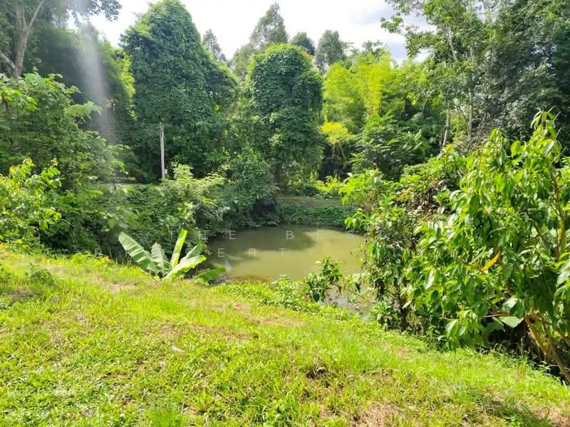 บ้านเดี่ยวพร้อมที่ดินมะขาม จันทบุรี, จันทบุรี, วังแซ้ม, มะขาม, จันทบุรี, 180 ตร.ม., บ้านเดี่ยว ขาย, โดย The Best Property โชติ, 500399844 - DDproperty.com