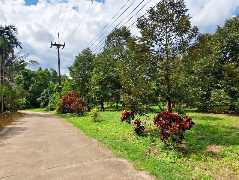 บ้านเดี่ยวพร้อมที่ดินมะขาม จันทบุรี, จันทบุรี, วังแซ้ม, มะขาม, จันทบุรี, 180 ตร.ม., บ้านเดี่ยว ขาย, โดย The Best Property โชติ, 500399844 - DDproperty.com