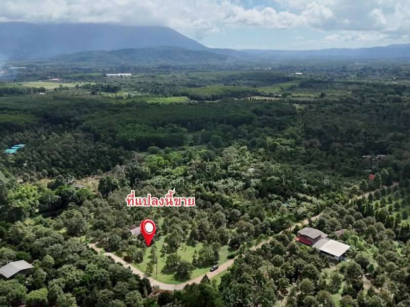 บ้านเดี่ยวพร้อมที่ดินมะขาม จันทบุรี, จันทบุรี, วังแซ้ม, มะขาม, จันทบุรี, 180 ตร.ม., บ้านเดี่ยว ขาย, โดย The Best Property โชติ, 500399844 - DDproperty.com