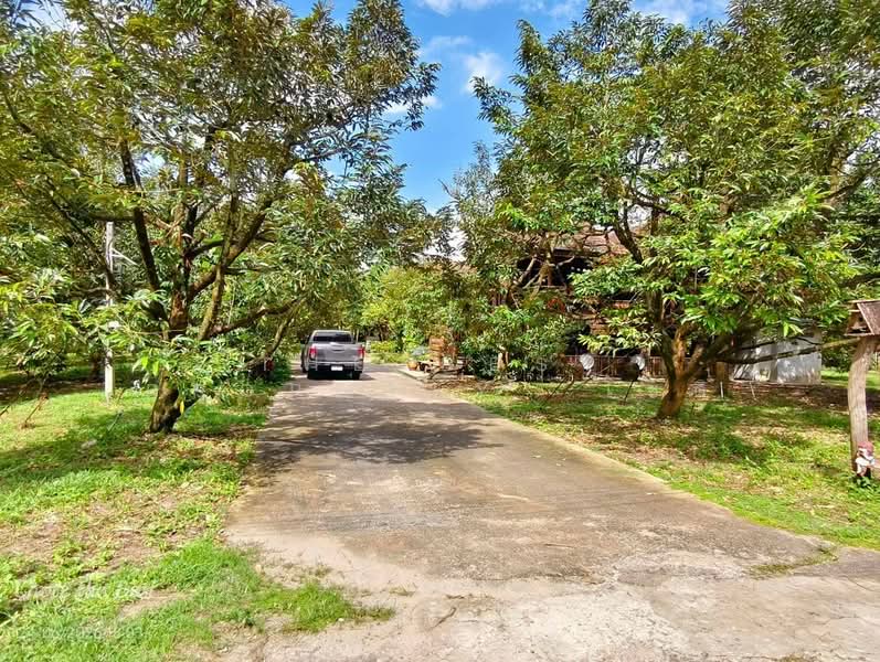 บ้านเดี่ยวพร้อมที่ดินมะขาม จันทบุรี, จันทบุรี, วังแซ้ม, มะขาม, จันทบุรี, 180 ตร.ม., บ้านเดี่ยว ขาย, โดย The Best Property โชติ, 500399844 - DDproperty.com