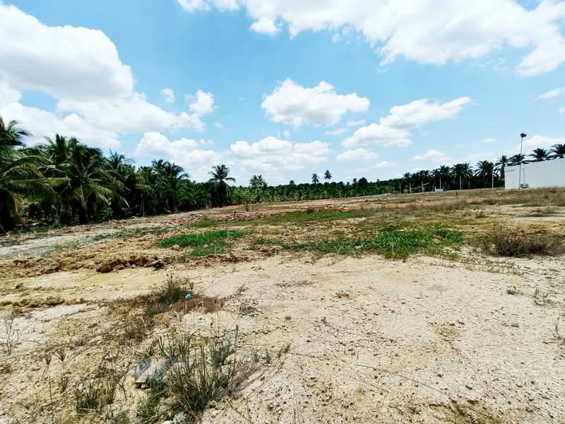 ที่ดินบ้านแพ้ว สมุทรสาคร, Samut Sakhon, Nong Bua, Ban Phaeo, Samut Sakhon, , 1,520 sqm, Land For Sale, by The Best Property โอ๋, 500399855 - DDproperty.com