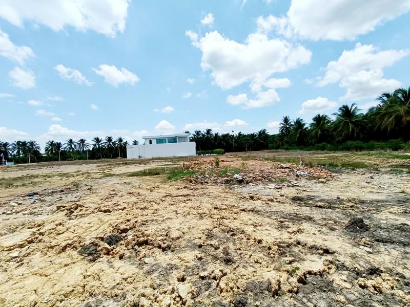 ที่ดินบ้านแพ้ว สมุทรสาคร, สมุทรสาคร, หนองบัว, บ้านแพ้ว, สมุทรสาคร, 1,520 ตร.ม., ที่ดิน ขาย, โดย The Best Property โอ๋, 500399855 - DDproperty.com