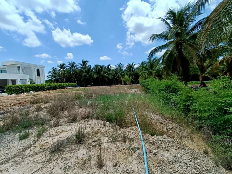 ที่ดินบ้านแพ้ว สมุทรสาคร, Samut Sakhon, Nong Bua, Ban Phaeo, Samut Sakhon, , 1,520 sqm, Land For Sale, by The Best Property โอ๋, 500399855 - DDproperty.com