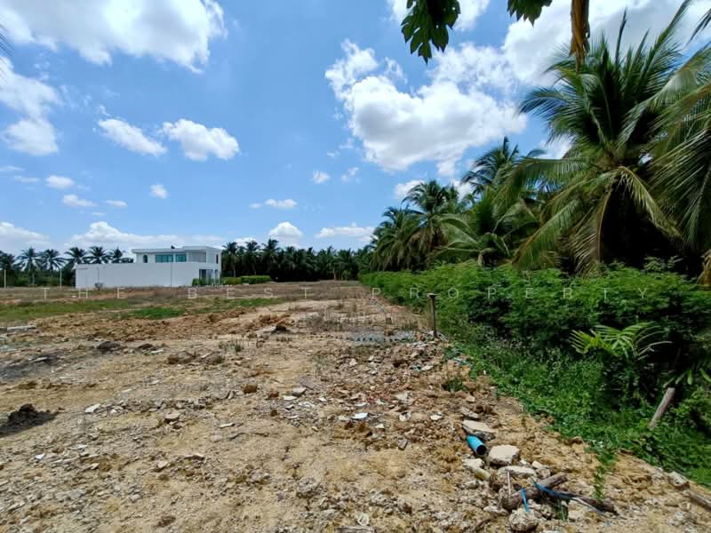 ที่ดินบ้านแพ้ว สมุทรสาคร, Samut Sakhon, Nong Bua, Ban Phaeo, Samut Sakhon, , 1,520 sqm, Land For Sale, by The Best Property โอ๋, 500399855 - DDproperty.com
