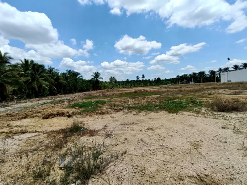 ที่ดินบ้านแพ้ว สมุทรสาคร, Samut Sakhon, Nong Bua, Ban Phaeo, Samut Sakhon, , 1,520 sqm, Land For Sale, by The Best Property โอ๋, 500399855 - DDproperty.com