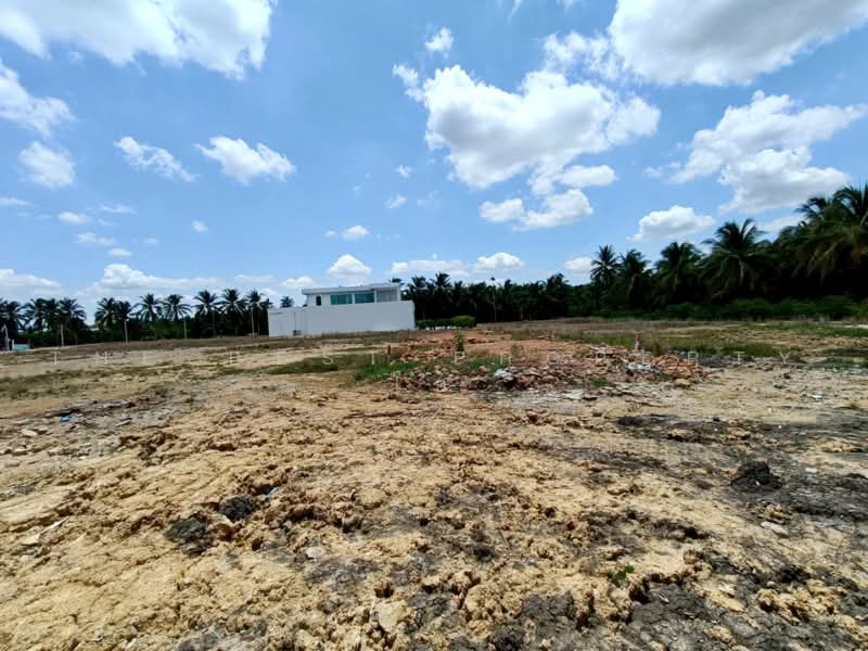 ที่ดินบ้านแพ้ว สมุทรสาคร, สมุทรสาคร, หนองบัว, บ้านแพ้ว, สมุทรสาคร, 1,520 ตร.ม., ที่ดิน ขาย, โดย The Best Property โอ๋, 500399855 - DDproperty.com