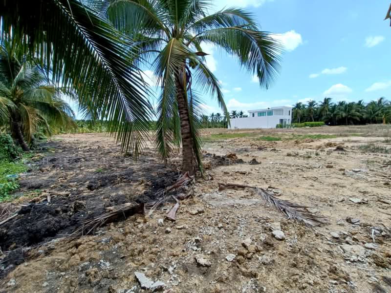 ที่ดินบ้านแพ้ว สมุทรสาคร, Samut Sakhon, Nong Bua, Ban Phaeo, Samut Sakhon, , 1,520 sqm, Land For Sale, by The Best Property โอ๋, 500399855 - DDproperty.com