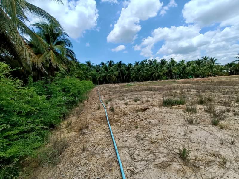 ที่ดินบ้านแพ้ว สมุทรสาคร, Samut Sakhon, Nong Bua, Ban Phaeo, Samut Sakhon, , 1,520 sqm, Land For Sale, by The Best Property โอ๋, 500399855 - DDproperty.com