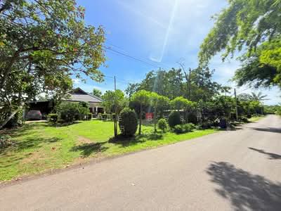 ขาย - บ้านเดี่ยวพร้อมที่ดินปากท่อ ราชบุรี, ราชบุรี