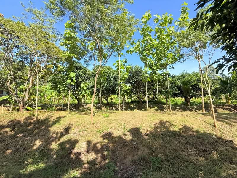 บ้านเดี่ยวพร้อมที่ดินปากท่อ ราชบุรี, Ratchaburi, Wang Manao, Pak Tho, Ratchaburi, 2 Bedrooms, 180 sqm, Single Detached House For Sale, by The Best Property  ดาด้า, 500399884 - DDproperty.com