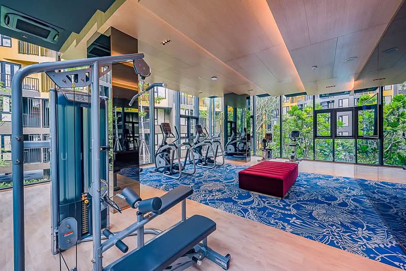 The Base Central, Phuket, Chao Fah Tawan Tok Rd, Wichit, Muang Phuket, Phuket, 1 Bedroom, 29 sqm, Condo For Sale, by Built Prime global, 500399938 - DDproperty.com