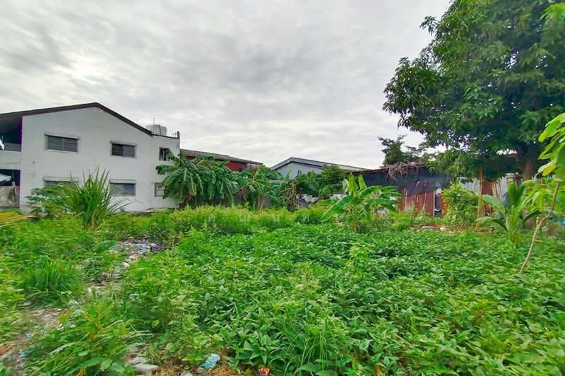 บางปูนคร 2, สมุทรปราการ, ถนนเทพารักษ์, สำโรงเหนือ, เมืองสมุทรปราการ, สมุทรปราการ, 400 ตร.ม., ที่ดิน ขาย, โดย คุณนทร, 500399988 - DDproperty.com