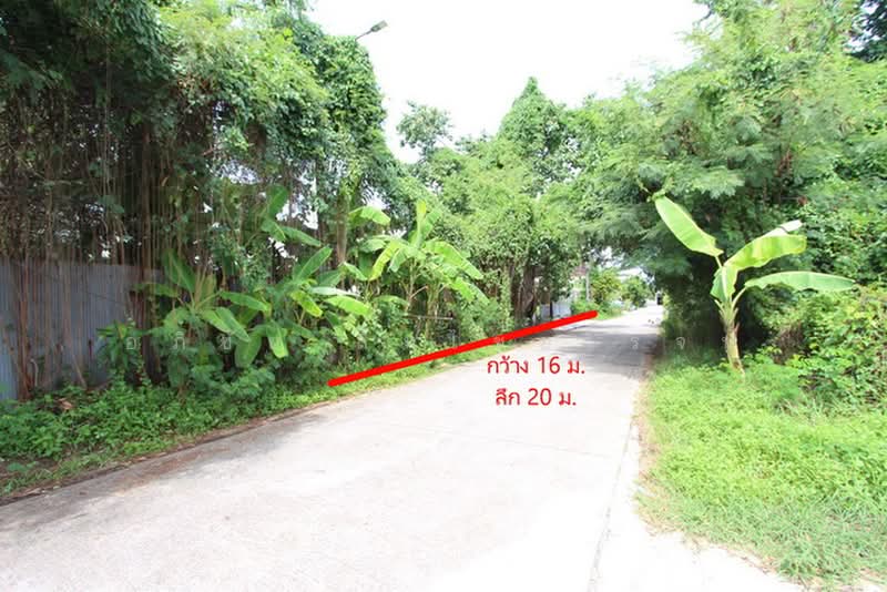 ที่ดินรามอินทรา 34 (ถนนอยู่เย็น) 79 ตร.ว. กว้าง 16 ลึก 20 เหมาะสร้างบ้าน,สร้างโกดัง,ธุรกิจSME ฯลฯ, กรุงเทพ, รามอินทรา, ท่าแร้ง, บางเขน, กรุงเทพ, 316 ตร.ม., ที่ดิน ขาย, โดย อภิชัย ลิ้มไชยโรจน์, 500400005 - DDproperty.com