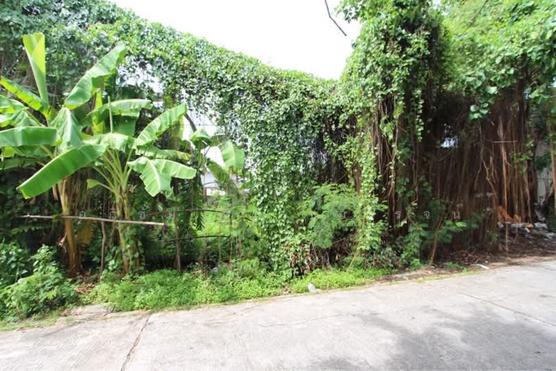 ที่ดินรามอินทรา 34 (ถนนอยู่เย็น) 79 ตร.ว. กว้าง 16 ลึก 20 เหมาะสร้างบ้าน,สร้างโกดัง,ธุรกิจSME ฯลฯ, Bangkok, รามอินทรา, Tha Rang, Bang Khen, Bangkok, , 316 sqm, Land For Sale, by อภิชัย ลิ้มไชยโรจน์, 500400005 - DDproperty.com