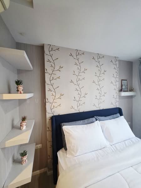 Centrio Condominium : เซนทริโอ คอนโดมิเนียม, ภูเก็ต, วิชิตสงคราม, กะทู้, ภูเก็ต, 34 ตร.ม., คอนโด ให้เช่า, โดย Built Prime global, 500400014 - DDproperty.com