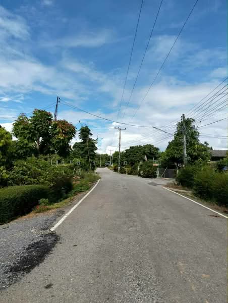 ขายที่ดินหน้าติดน้ำแม่ปิง วิวดอยอินทนนท์ หลังวิวภูเขา 11 ไร่กว่า, ลำพูน, หนองปลาสะวาย, บ้านโฮ่ง, ลำพูน, 18,172 ตร.ม., ที่ดิน ขาย, โดย วชิราภรณ์ เพ็ชรไชย, 500400119 - DDproperty.com