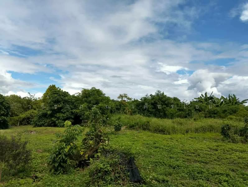 Land with frontage on the Mae Ping River Chaingmai 11 Rai, Lamphun, Nong Pla Sawai, Ban Hong, Lamphun, , 18,172 sqm, Land For Sale, by วชิราภรณ์ เพ็ชรไชย, 500400119 - DDproperty.com
