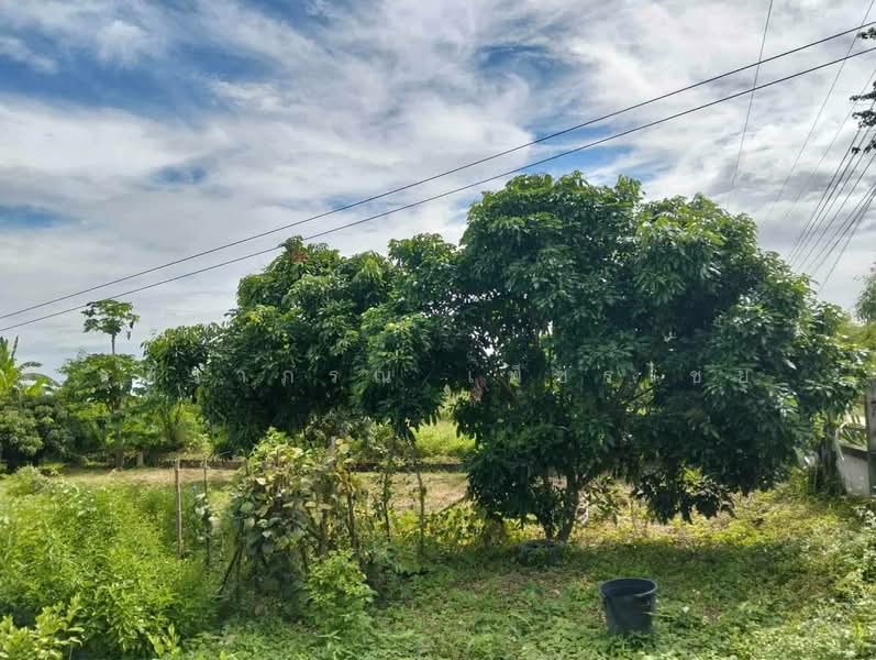 Land with frontage on the Mae Ping River Chaingmai 11 Rai, Lamphun, Nong Pla Sawai, Ban Hong, Lamphun, , 18,172 sqm, Land For Sale, by วชิราภรณ์ เพ็ชรไชย, 500400119 - DDproperty.com
