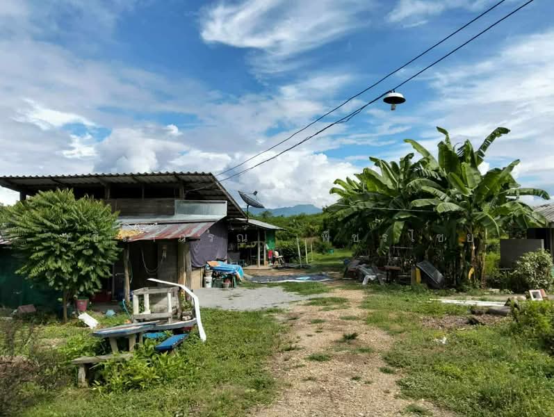 Land with frontage on the Mae Ping River Chaingmai 11 Rai, Lamphun, Nong Pla Sawai, Ban Hong, Lamphun, , 18,172 sqm, Land For Sale, by วชิราภรณ์ เพ็ชรไชย, 500400119 - DDproperty.com