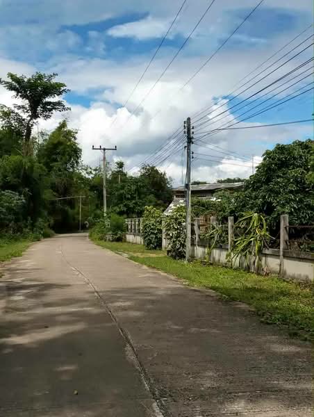 Land with frontage on the Mae Ping River Chaingmai 11 Rai, Lamphun, Nong Pla Sawai, Ban Hong, Lamphun, , 18,172 sqm, Land For Sale, by วชิราภรณ์ เพ็ชรไชย, 500400119 - DDproperty.com